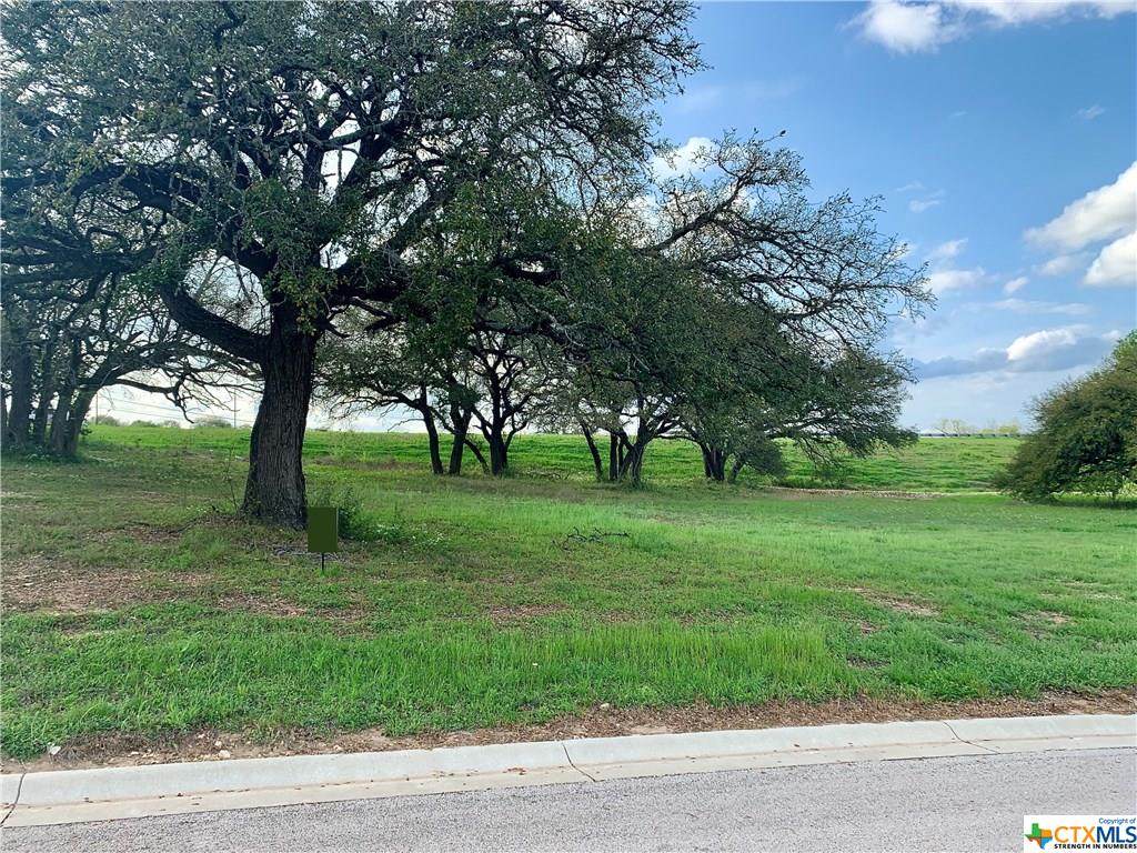 3030 Pecan Meadow Drive - Photo 1