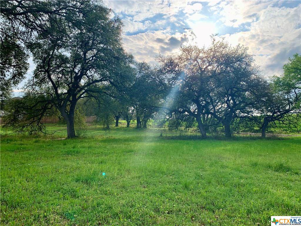 1010 Pecan Meadow Drive - Photo 1