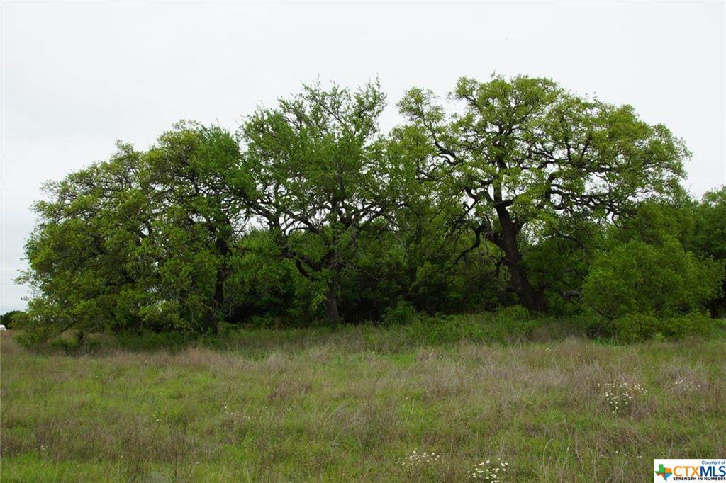 370 County Rd 204 - Photo 1