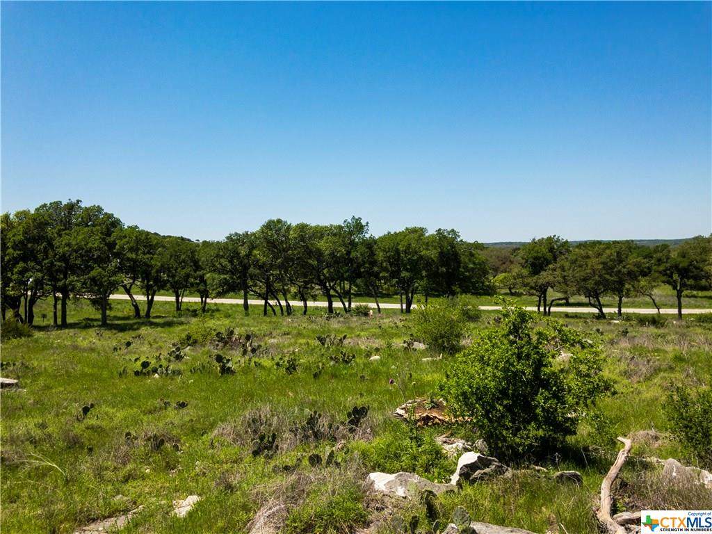 Lot 99 Axis Circle - Photo 1