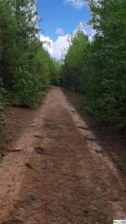 TBT Fm 250 - Photo 1