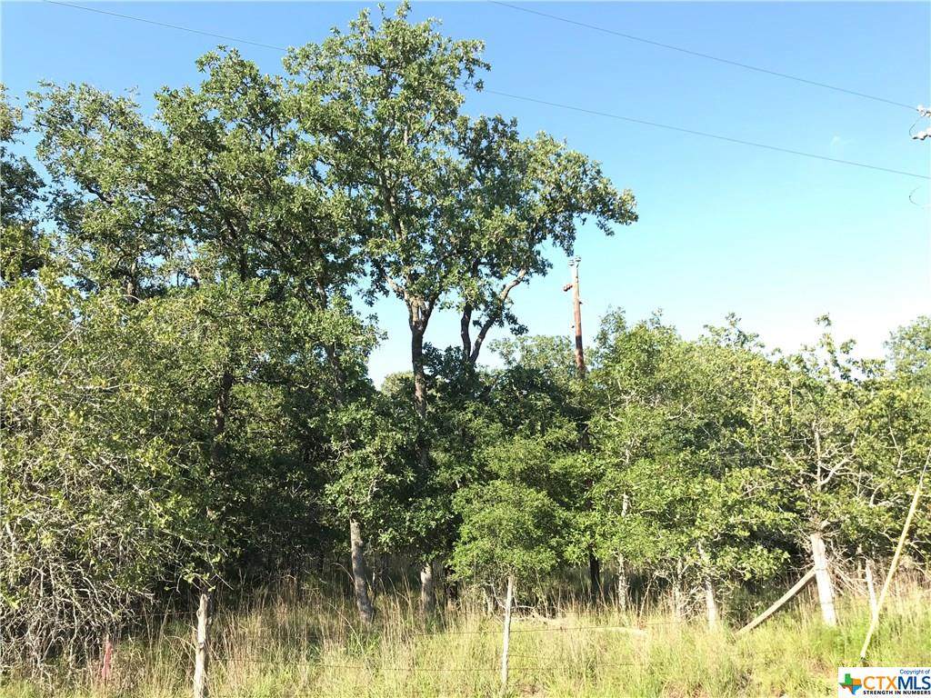 0000000 Turkey Tree Trail Road - Photo 1