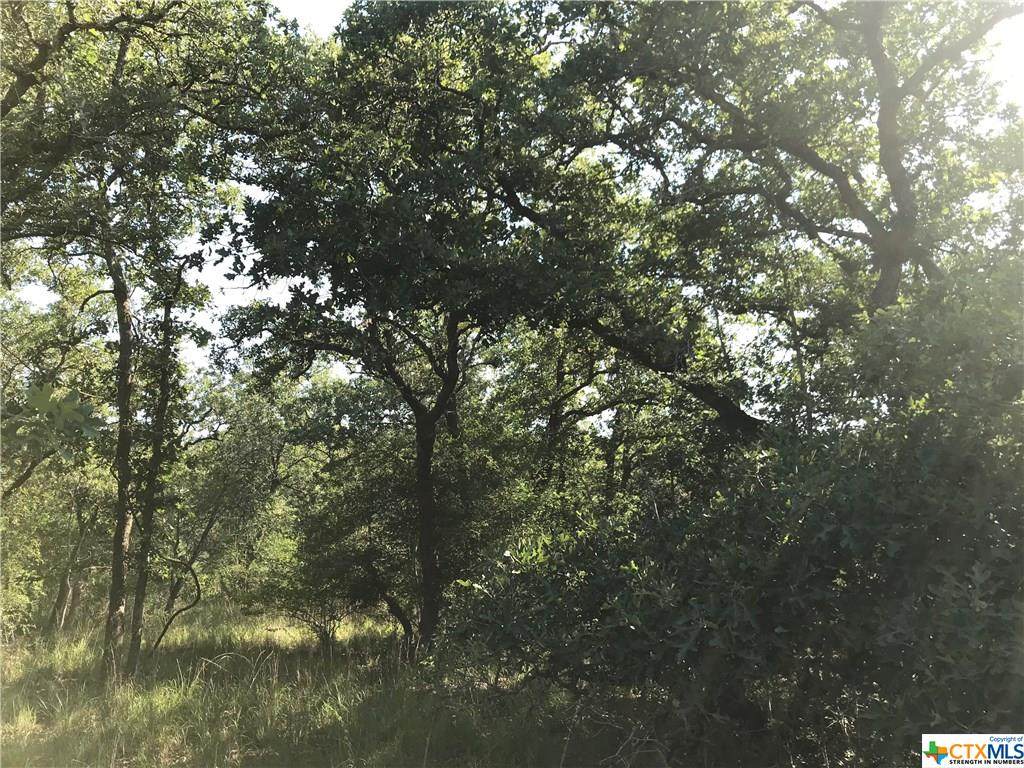 00 Turkey Tree Trail Road - Photo 1