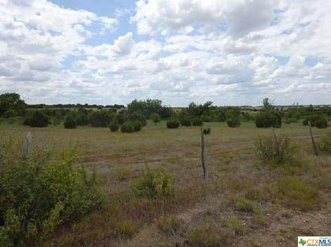 1175 Cr 217 - Photo 1