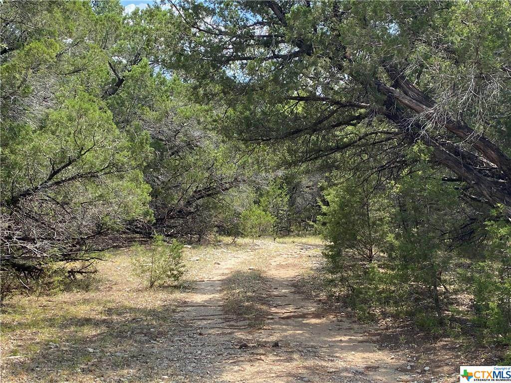TBD Lot 07 Mill Creek Ranches Private Rd 4717 - Photo 1