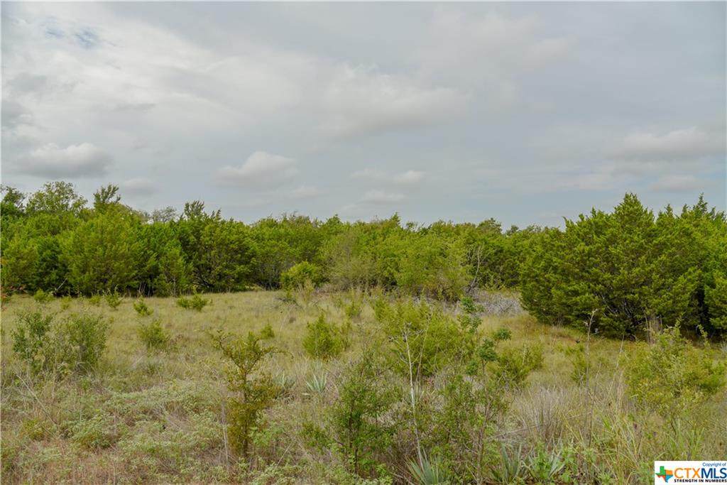 1535 Lutheran Church Road - Photo 1