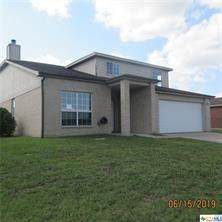 4209 Rainlily Street - Photo 1