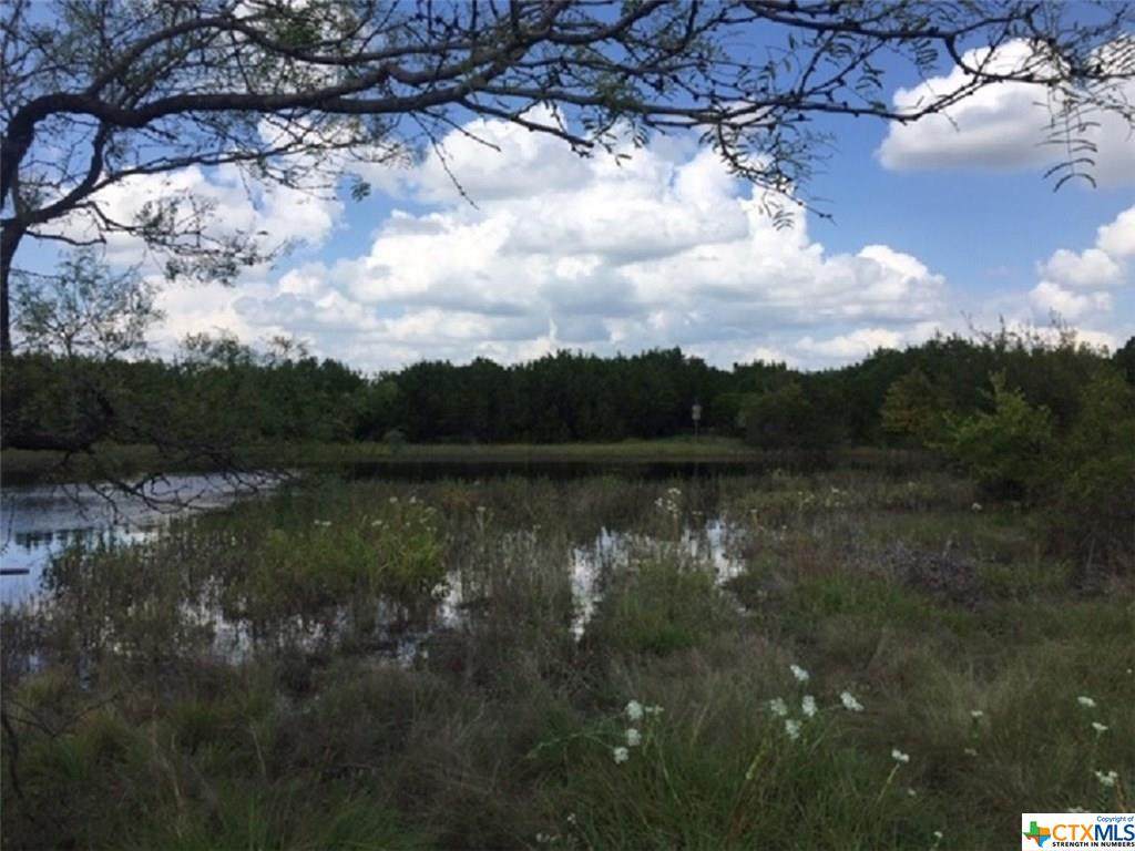 0 Us Hwy 183 - Photo 1