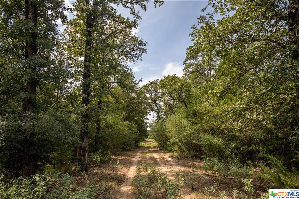 185 Hofferek Road - Photo 1