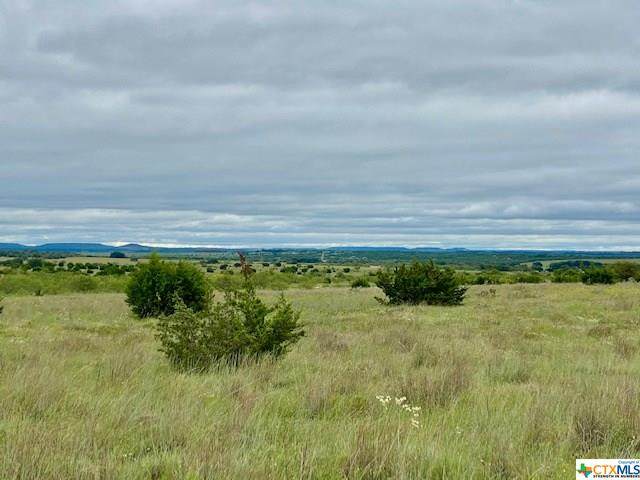 TBD County Road 2337 - Photo 1