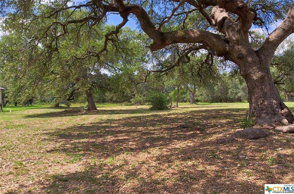 10299 Brangus Road - Photo 1