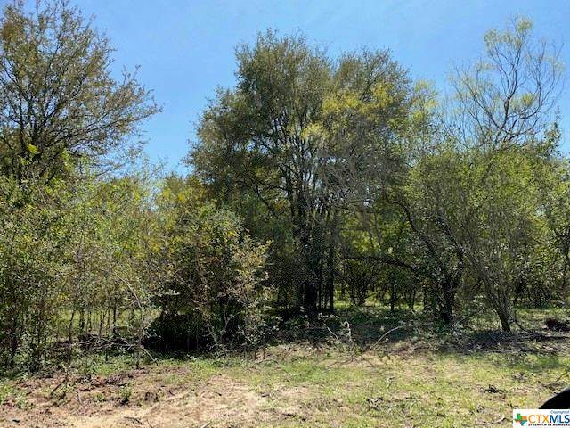 3765 Callihan Rd Highway - Photo 1