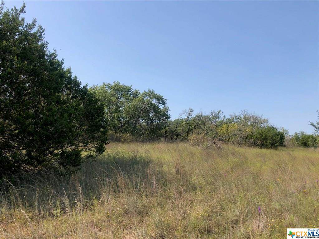 18006 Ranch Road 103 - Photo 1