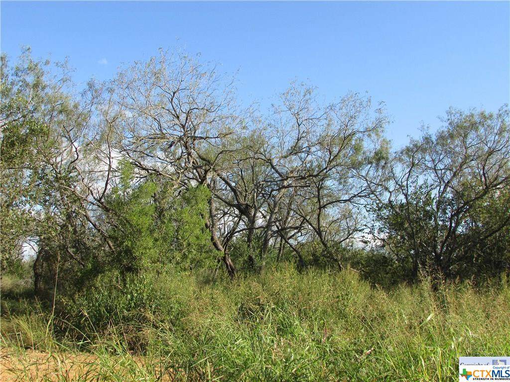 4045 Jakes Colony Road - Photo 1