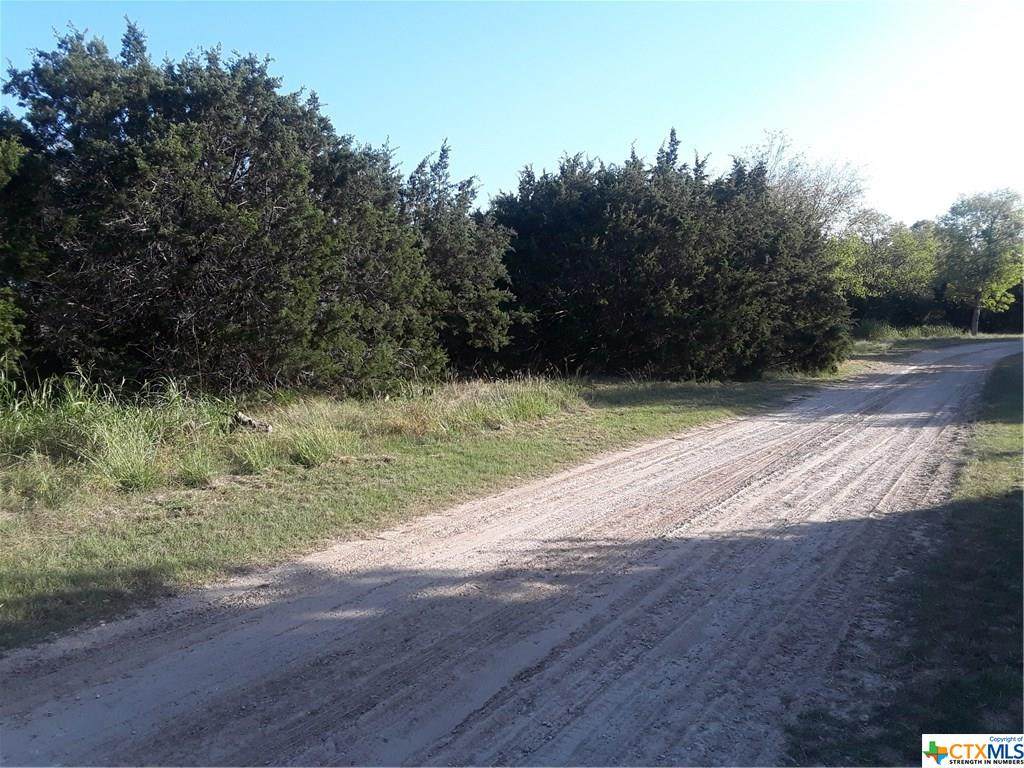 136 Bramble Bush Drive - Photo 1