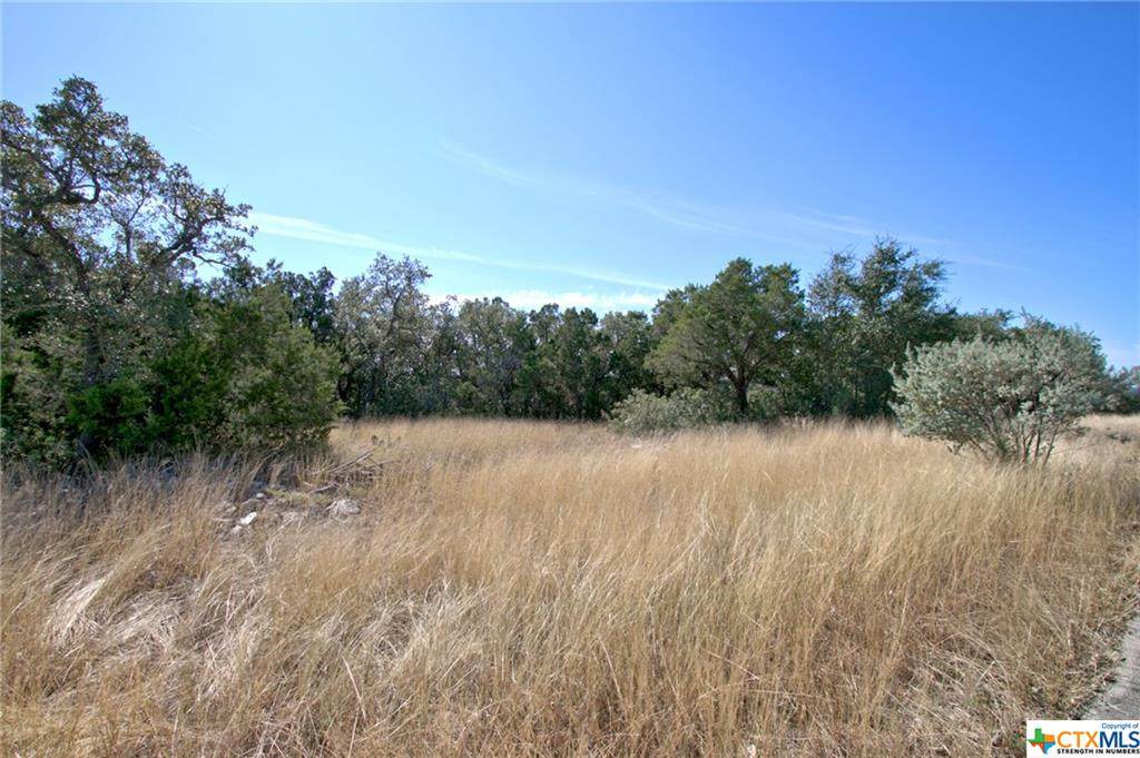 8702 Terra Dale - Photo 1