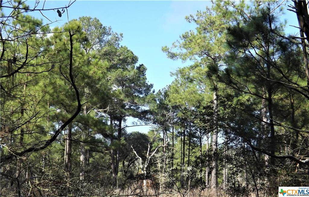 1096 & 1098 Pine Crest Drive - Photo 1