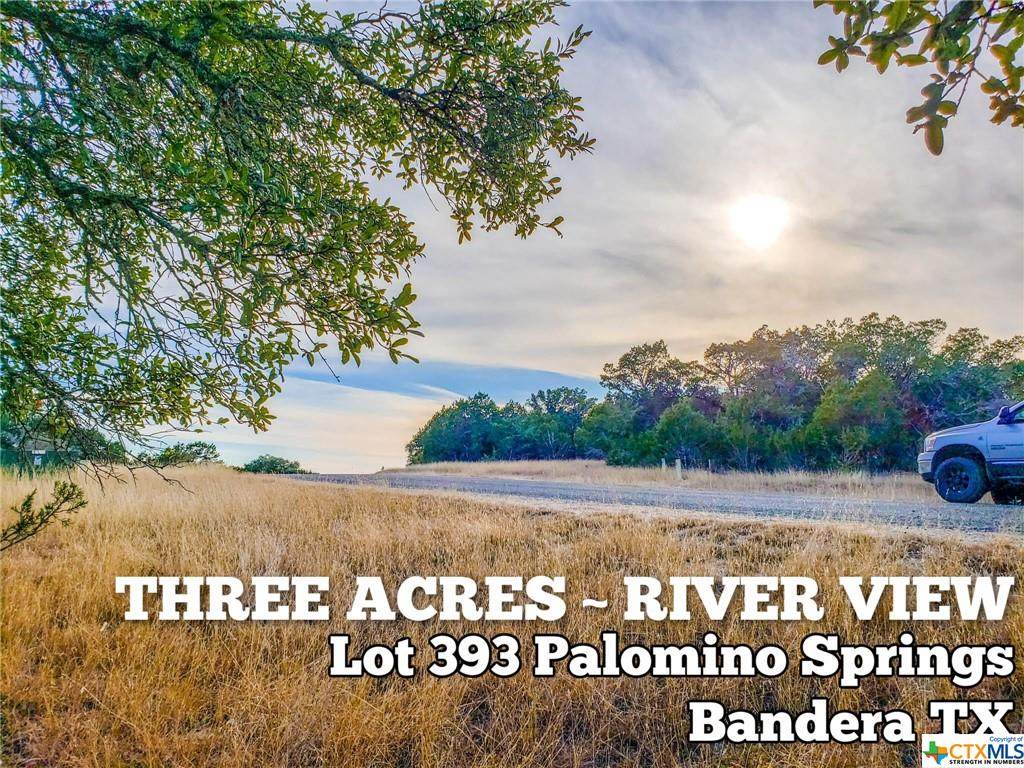 Lot 393 Palomino Springs - Photo 1