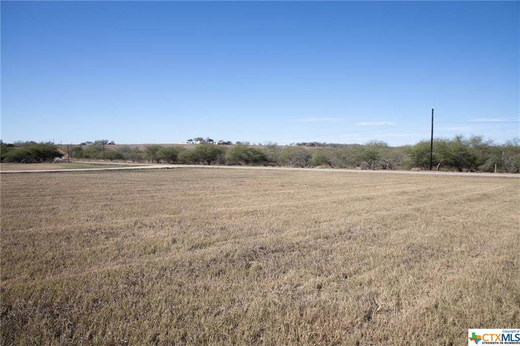 Lot 1 Shiner Hillside - Photo 1