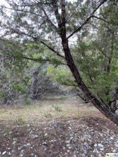 6571 Tallow Drive - Photo 1