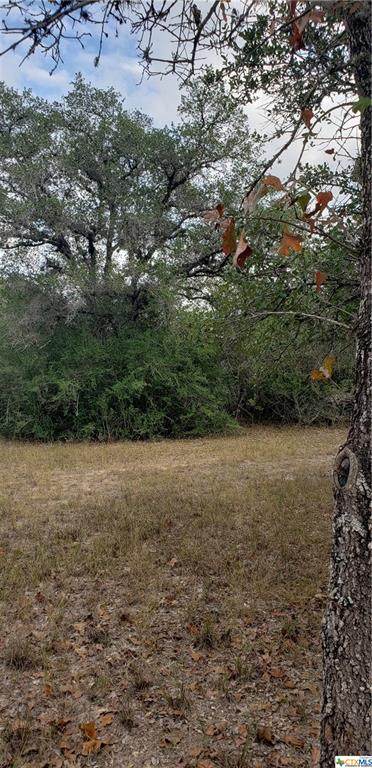 0000 Baecker Rd - Photo 1