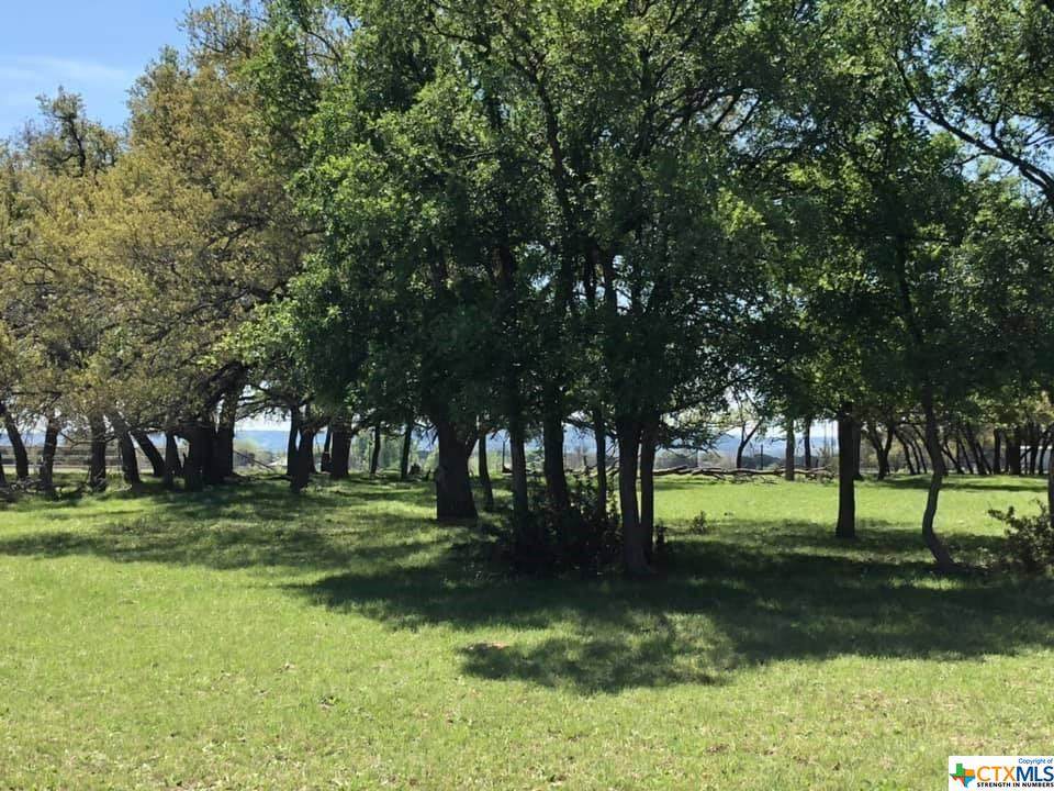 10.7255 Trimmier Road - Photo 1