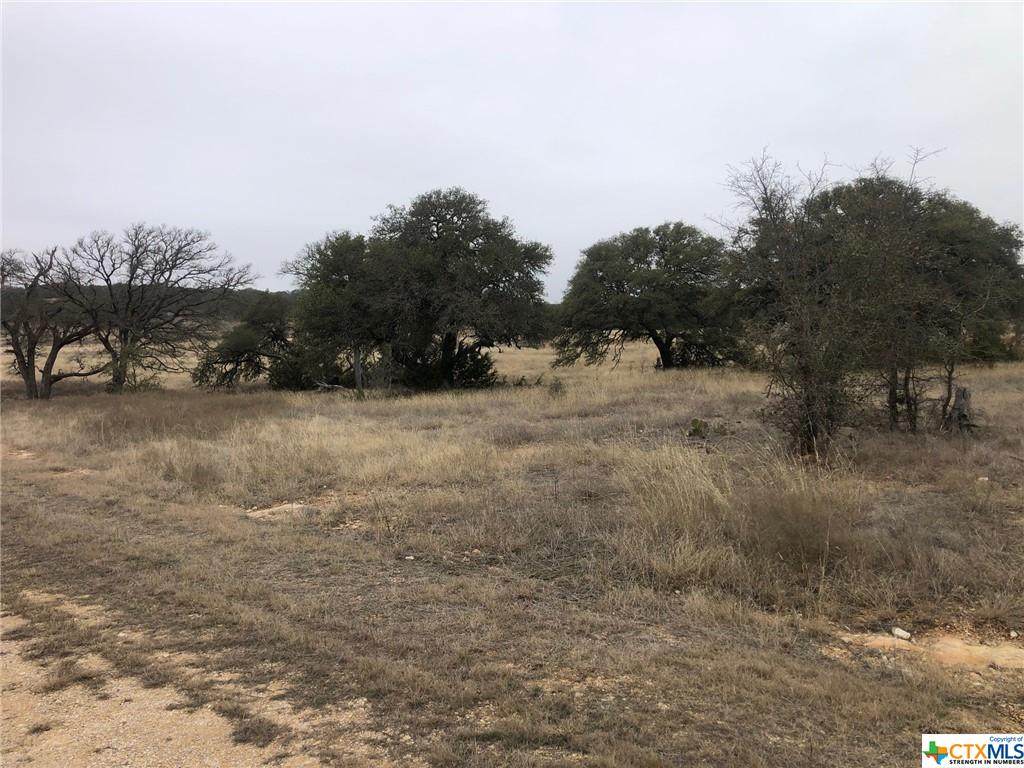 TBD Waterbuck Way - Photo 1