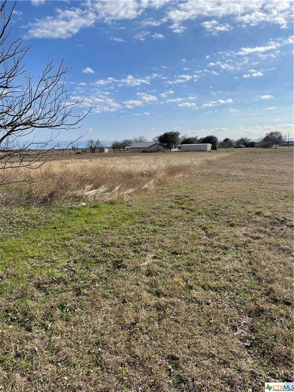 13319 Hwy 36 - Photo 1