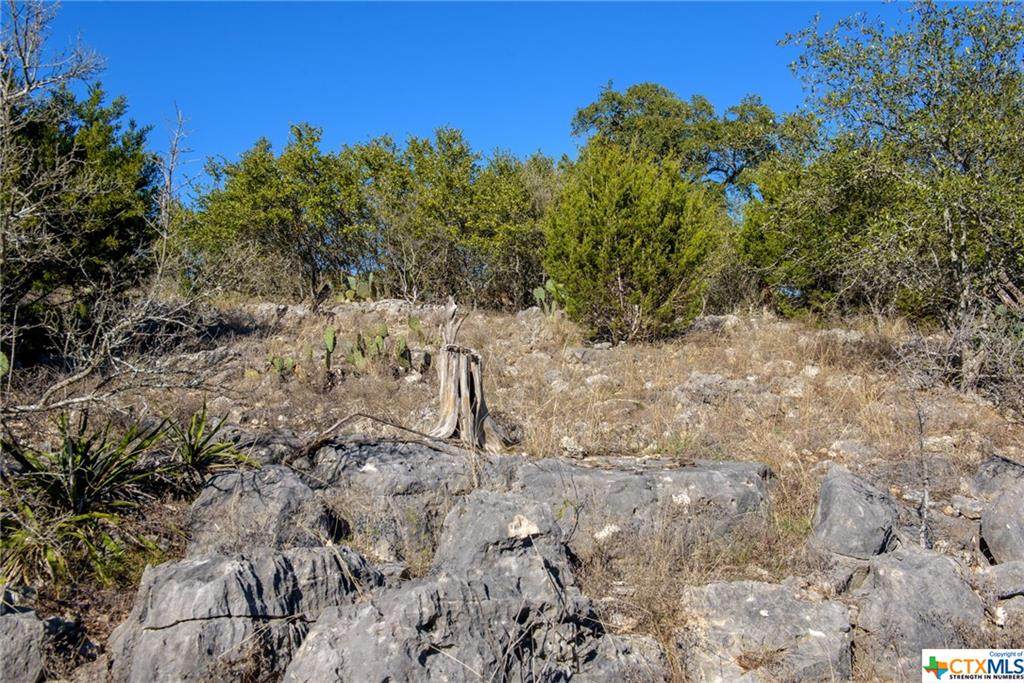 5817 Copper Valley - Photo 1