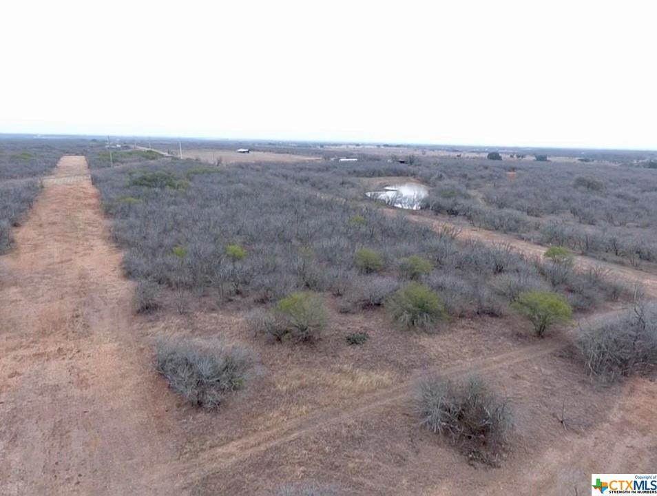 12.69 Acres TBD Pooley Road - Photo 1