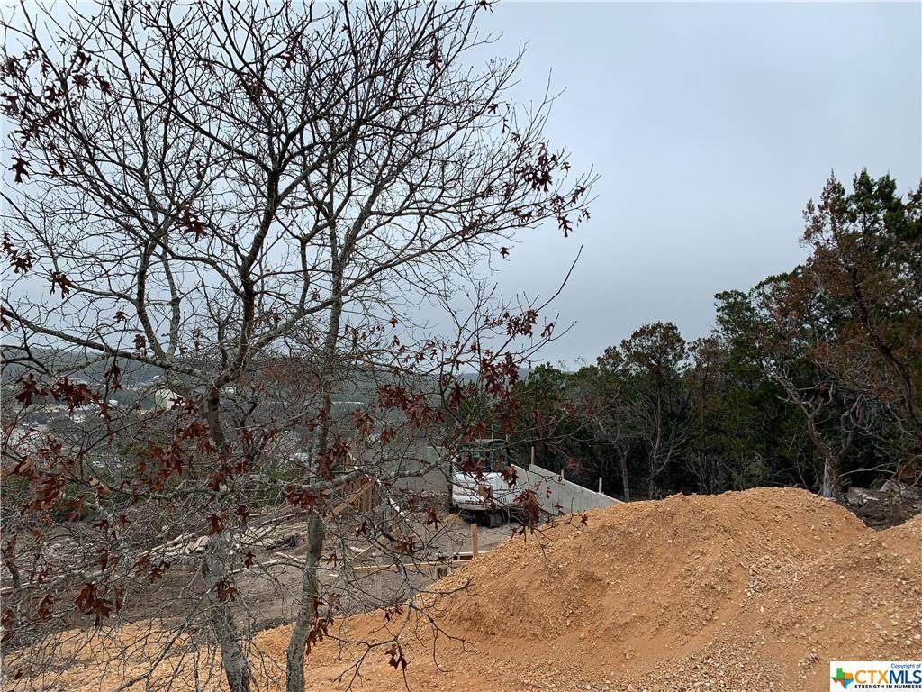 491 Lexington Pass - Photo 1