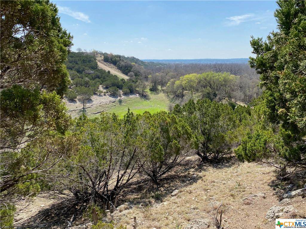 000 Bluff View Road - Photo 1