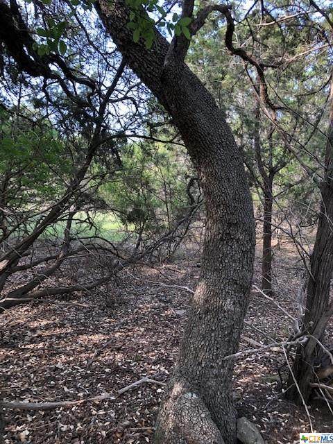 0 Lake Park Drive - Photo 1