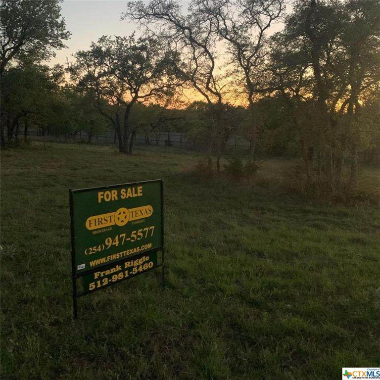 8499 Goliath Drive - Photo 1