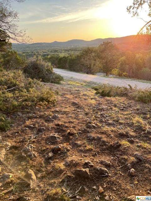 0 Mountain Trail - Photo 1