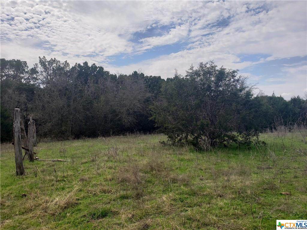 TBD Old Pidcoke Road - Photo 1