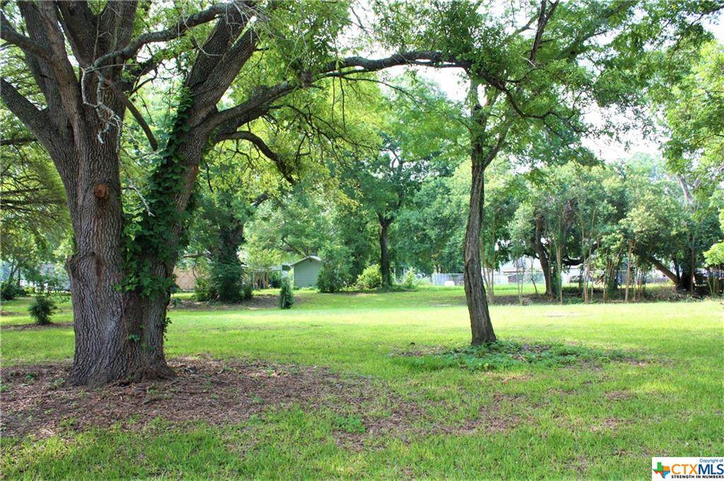 101 Navasota Lane - Photo 1