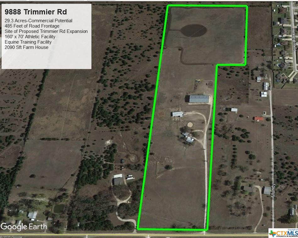 9888 Trimmier Road - Photo 1