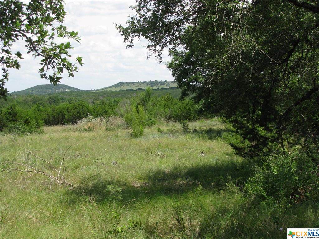 TBD-29 Blakely Road - Photo 1