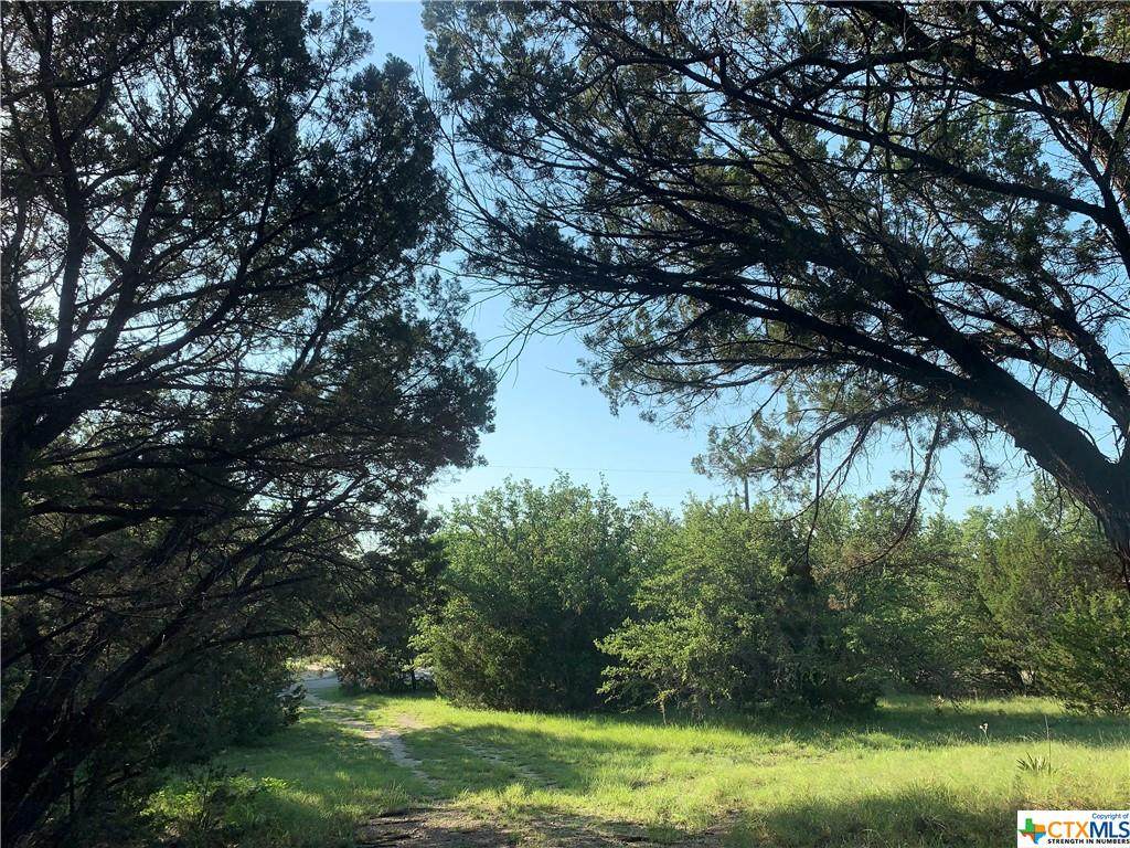 3235 County Road 107 - Photo 1