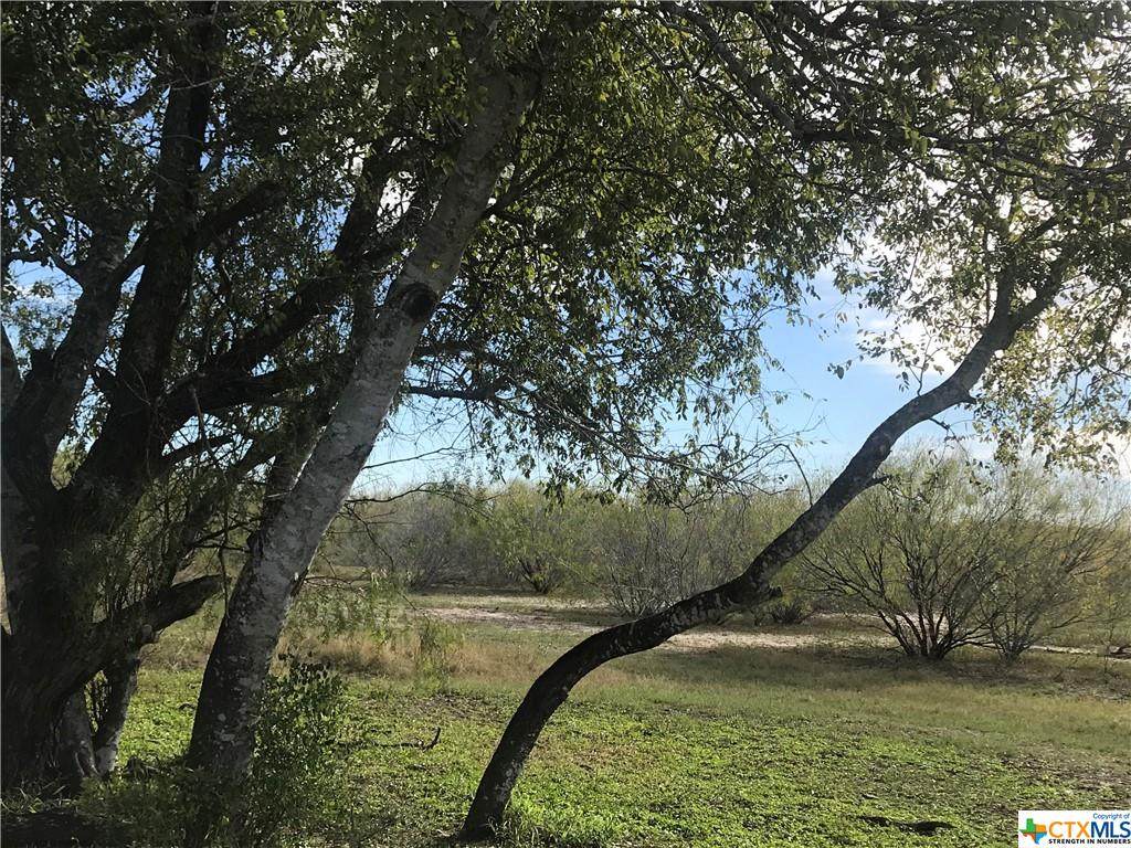 Lot 11 Hwy 281 So. Ben Bolt End Of Aransas Pass - Photo 1