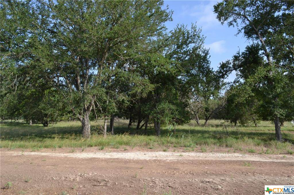 Block 2, Lot 11 Lampasas River Place Phase Two - Photo 1