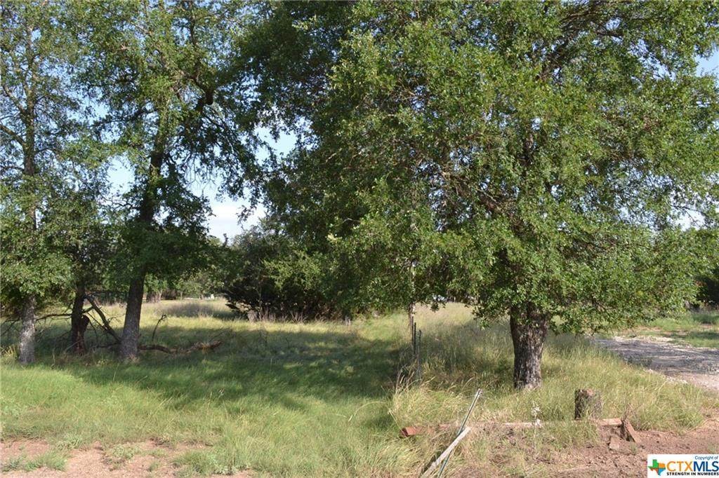 Block 2, Lot 13 Lampasas River Place Phase Two - Photo 1