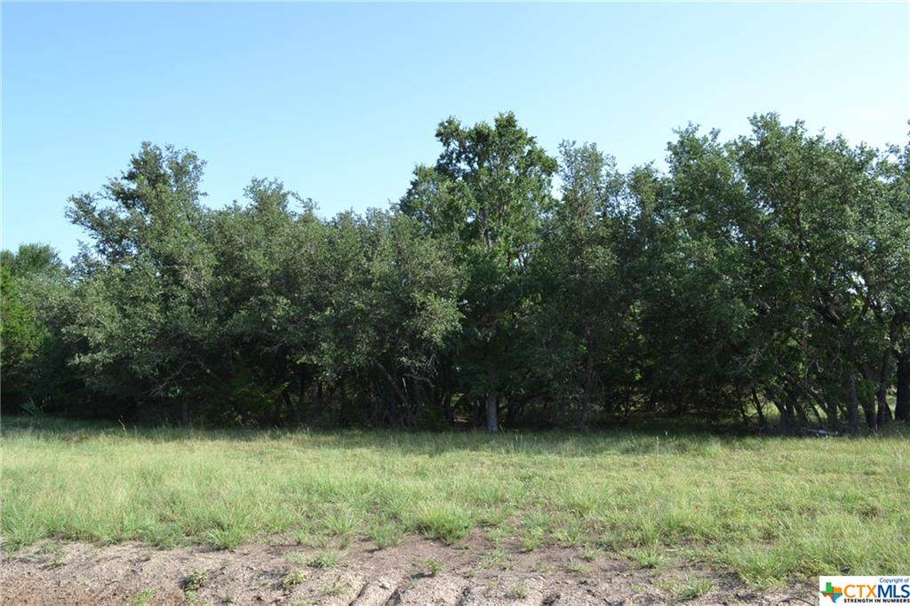 Block 6, Lot 5 Lampasas River Place Phase Two - Photo 1