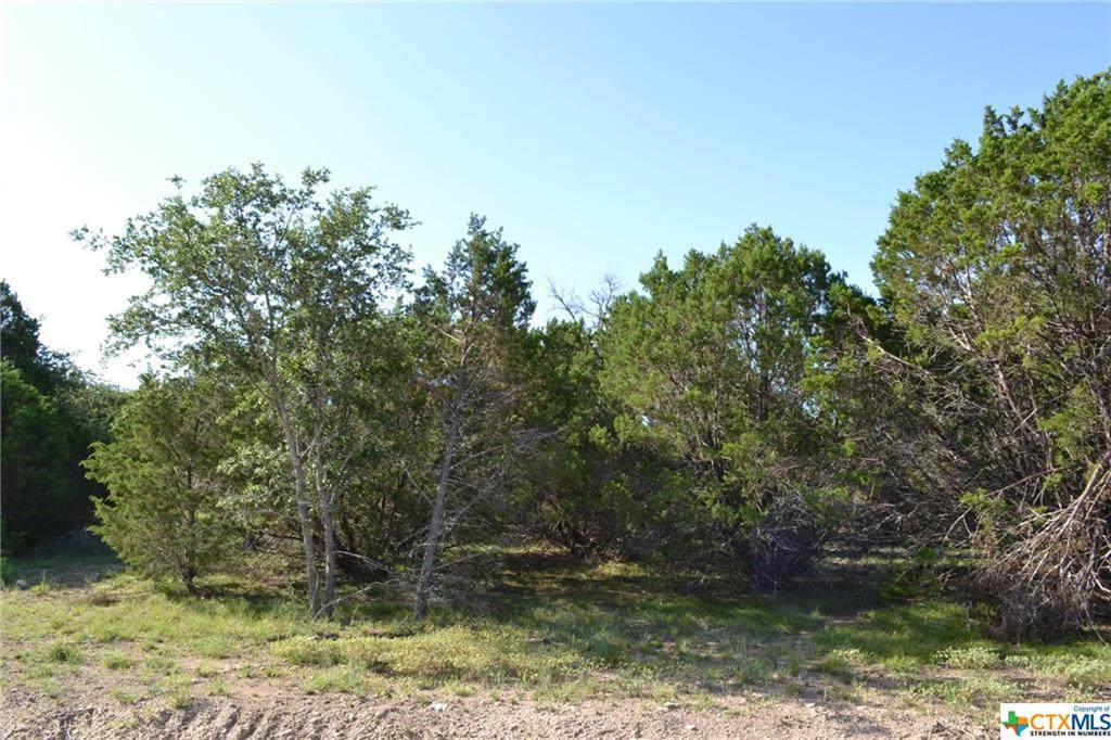 Block 7, Lot 18 Lampasas River Place Phase Two - Photo 1