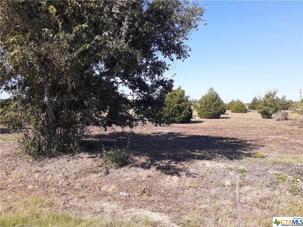 TBD Us Hwy 77 - Photo 1
