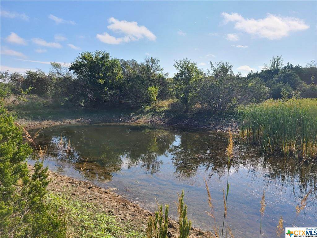 TBD King Country Road - Photo 1