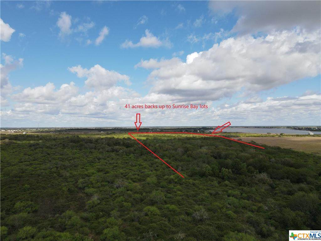TBD County Road 302 - Photo 1