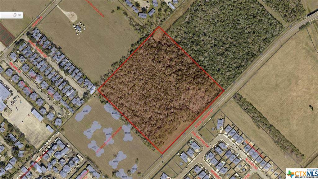 4803 Ben Jordan Street - Photo 1