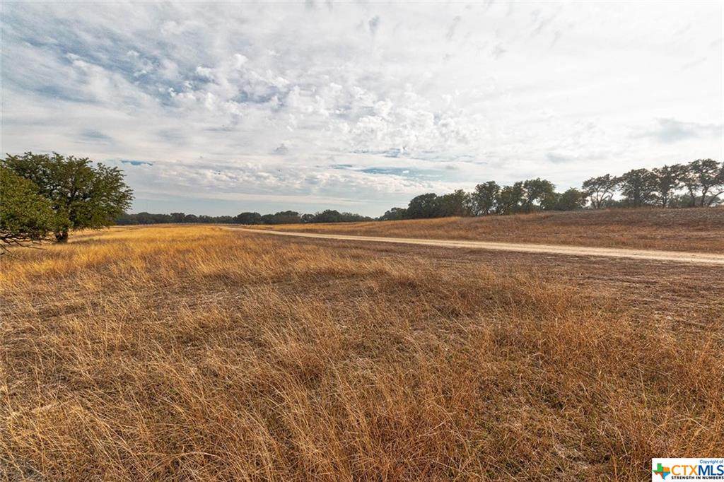 10811 Trimmier Road - Photo 1